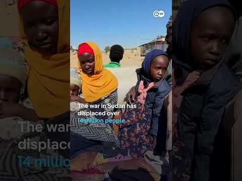 New report confirms famine in Sudan's el-Fasher and Kadugli | DW News