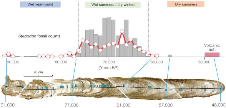 The ‘hobbits’ mysteriously disappeared 50,000 years ago. Our new study reveals what happened to their home