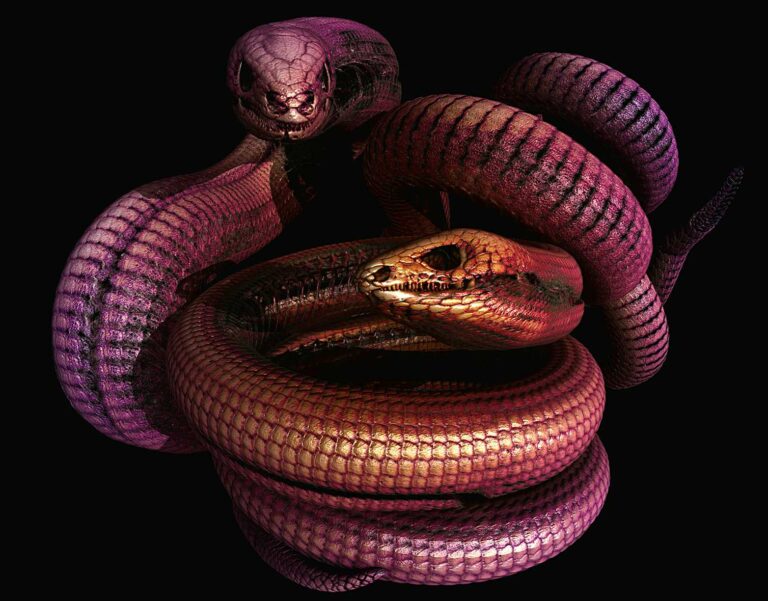 A centuries-old debate on how reptiles keep evolving skin bones is finally settled