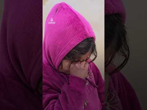 Doctors fear ‘swamp fever’ spreading in flood-hit Gaza | AJ #shorts