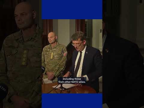 More Danish, NATO military in Greenland | DW News