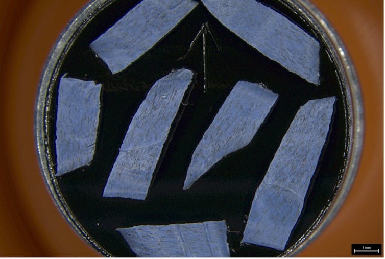 Petri dish with shards of violet material visible on a black background.