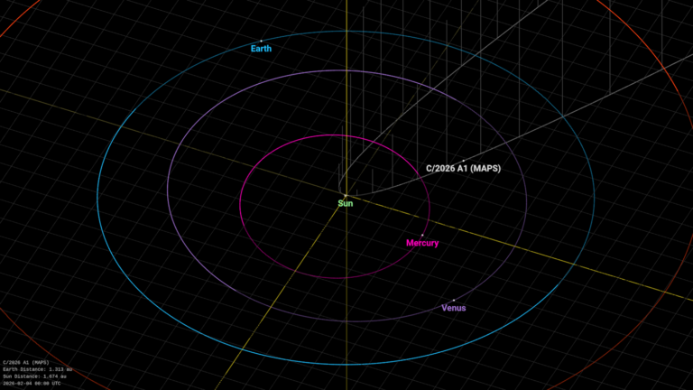 A new comet was just discovered. Will it be visible in broad daylight?