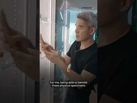 Dinosaurs for sale: Is the global fossil market harming science? | 101 East #shorts