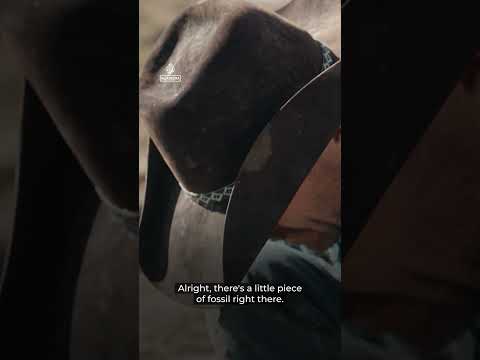 U.S. dinosaur collectors cash in on booming fossil trade | 101 East #shorts