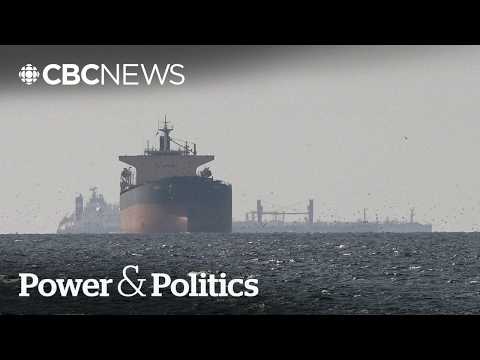 Canada should stay'far away' from Strait of Hormuz deployment: Former commander | Power & Politics
