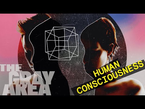 Consciousness is a mystery