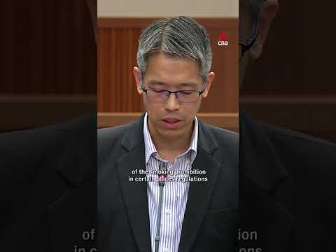 Gerald Giam raises HDB complaints about smoking neighbours