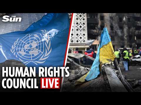 LIVE: Experts brief UN member states on situation in Ukraine
