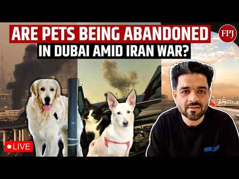Live from Dubai: RJ Parikshit on Life, Safety, and Pet Rescues