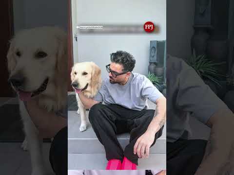 'Pets Aren't Disposable' Dubai RJ Raises Alarm Over Pet Abandonment During War Situation
