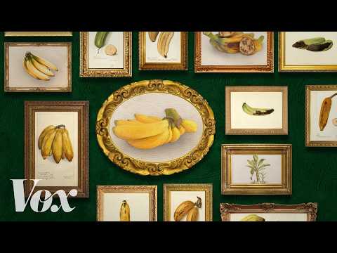The most interesting fruit in the world could go extinct
