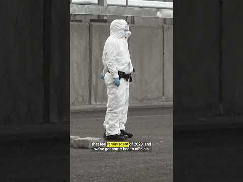Can you trust health experts to navigate the hantavirus?
