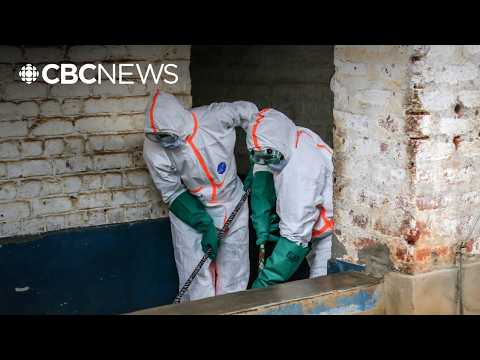 D.R.C. suspends large gatherings as WHO raises Ebola public health risk to'very high'
