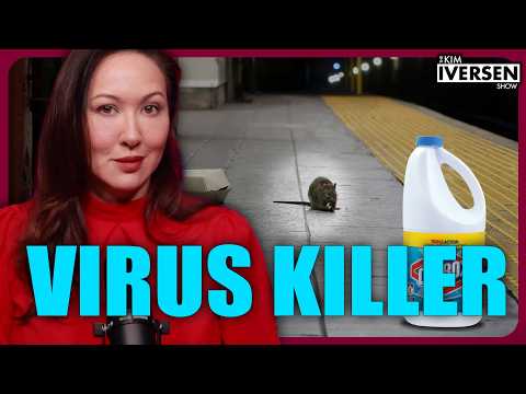 Do This Simple Thing To Rat Poop To Prevent Hantavirus