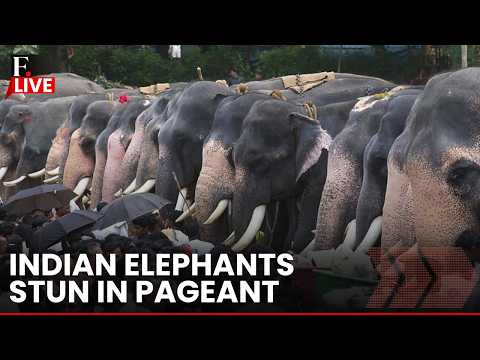 Elephant Pageant LIVE: Indian Elephants Compete in Gajamela Pageant