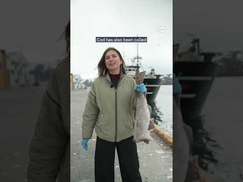 Hooked on cod: Why Norwayâs collaboration with Russia is a security threat for Europe | DW News