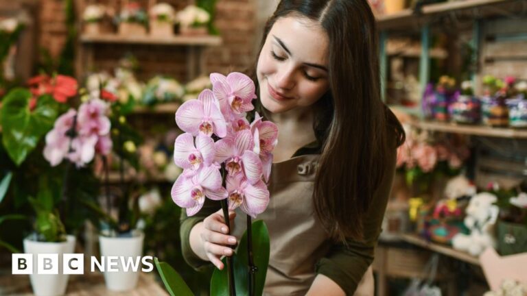 Inside the secretive and lucrative world of orchid breeding