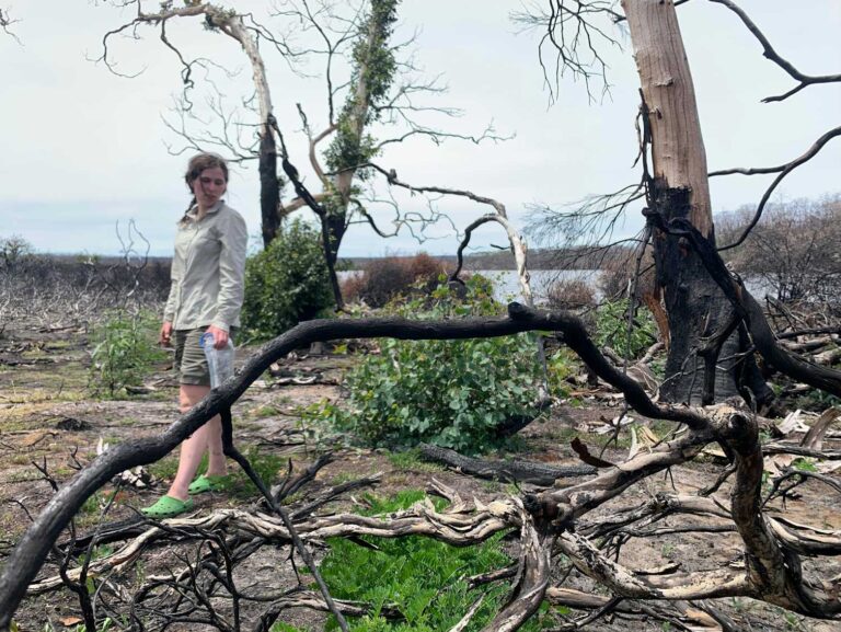 Lake mud reveals 7,000 years of Kangaroo Island’s complex fire history