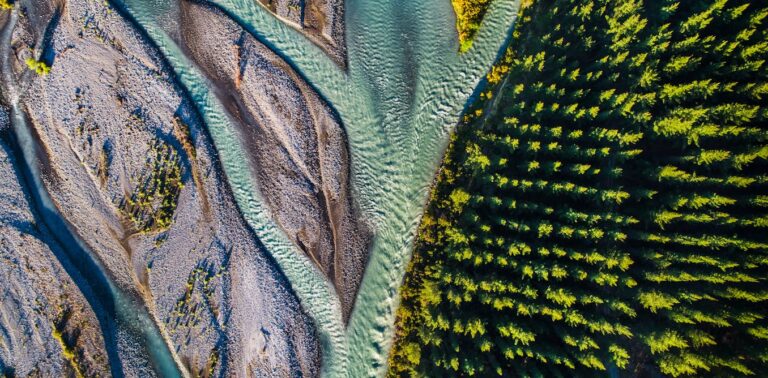Nature is good for business – and we now have numbers to show it