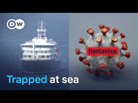 Passengers isolating on cruise ship stranded in the Atlantic over suspected hantavirus | DW News