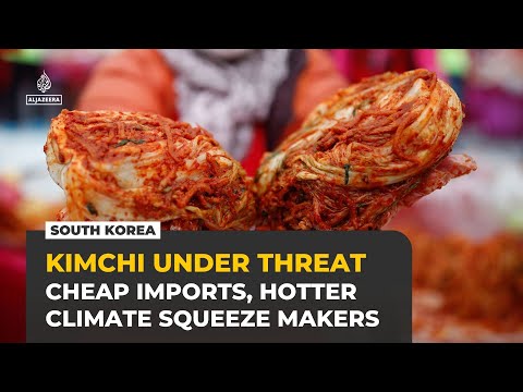 South Korea’s kimchi industry squeezed by cheap imports, climate change