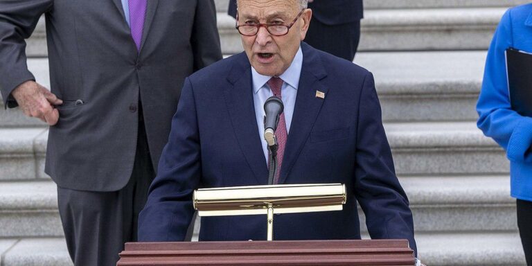 The Democrats need to get over themselves