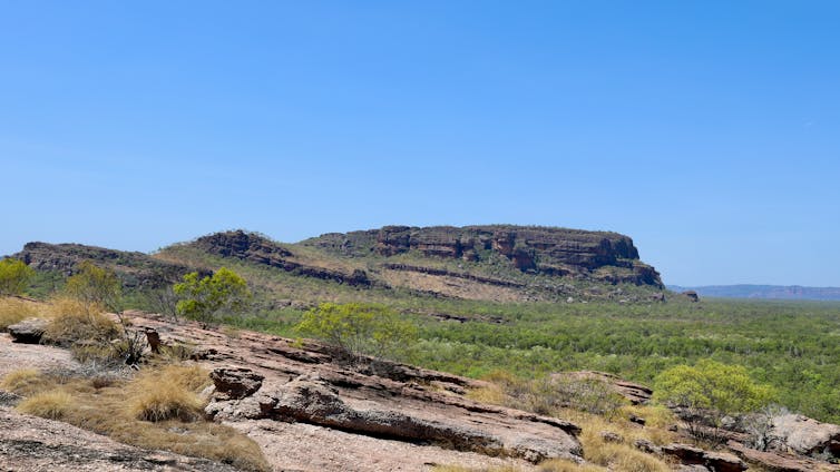 Large brown rocks rising from a grassy plain.