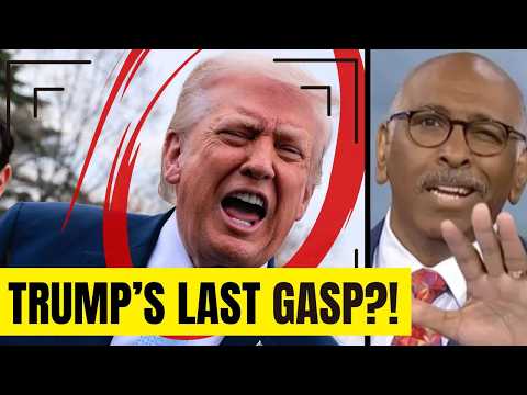 Trump’s MAGA is in a DEATH SPIRAL! Michael Steele’s FEARS THE WORST