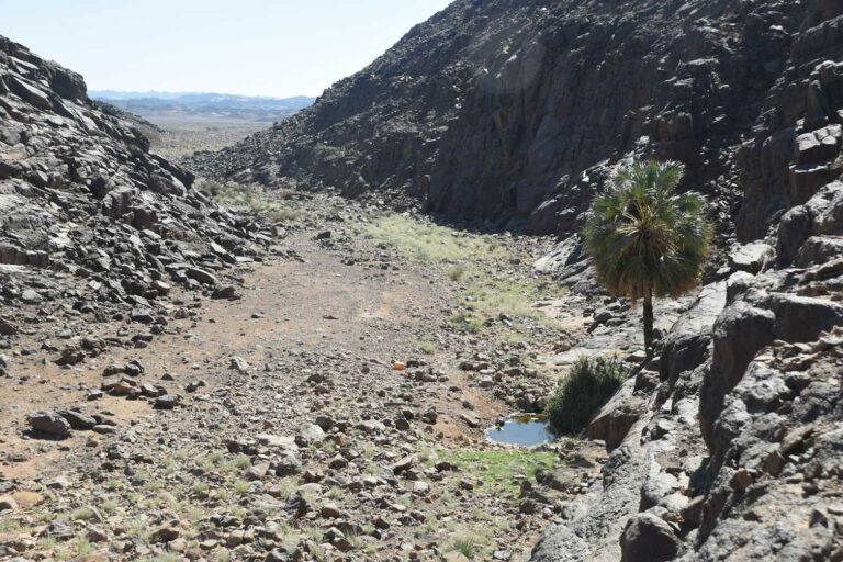 We found hundreds of huge ancient mass graves hidden in the Sahara desert