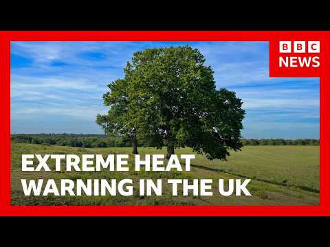 Four-day extreme heat warning begins in the UK | BBC News