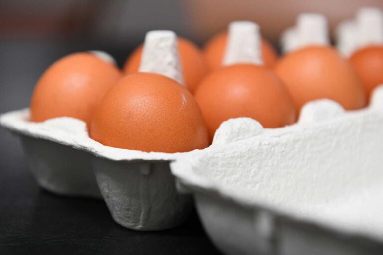 How is the Australian poultry industry preparing for a possible outbreak of bird flu?