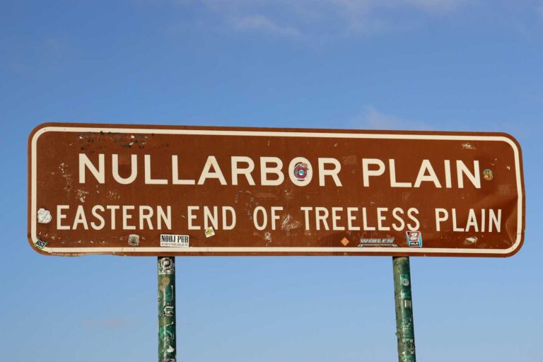 Koala numbers crashed across Australia 100,000 years ago. Global glacial cycles are likely to blame