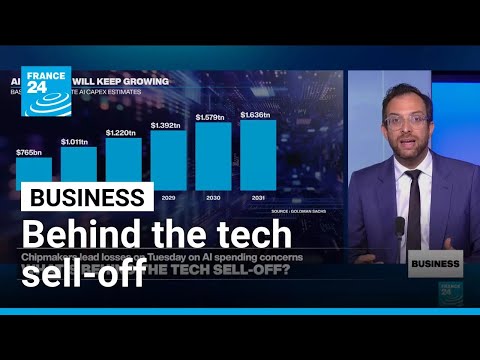 Massive AI spending and higher interest rates: What's behind the tech sell-off? • FRANCE 24