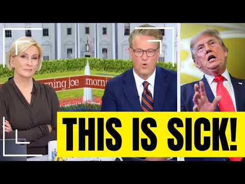Morning Joe Crew Stunned by Maggie Haberman Trump Bombshells