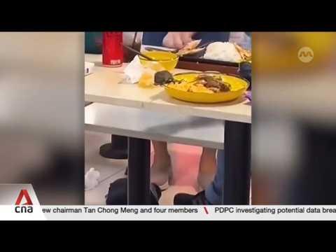 Rat infestations: More than 230 cases of lapses at F&B outlets in Singapore in 2025