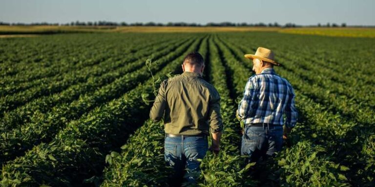 Republicans are ignoring a November threat hiding in the heartland: Washington Post