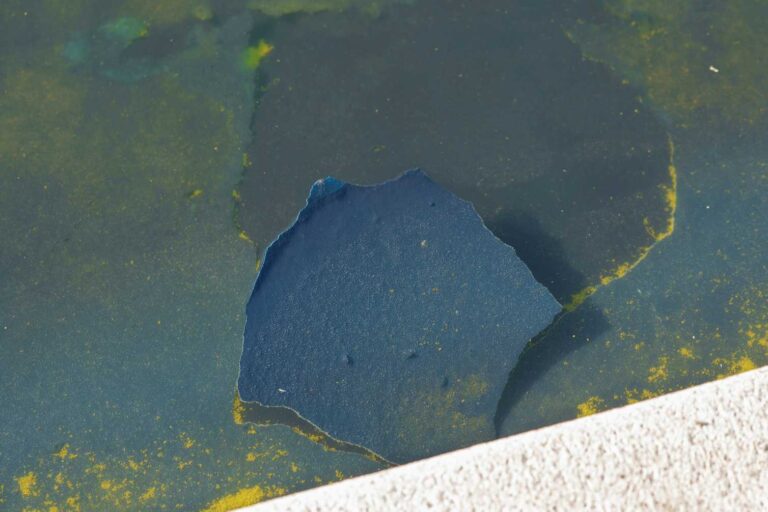 The Lincoln Memorial Reflecting Pool is treated with ‘nanobubbles’. What are they and how do they work?
