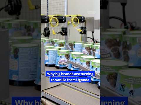 Why Uganda's #vanilla is winning over global food brands. #vanillabeans #Uganda #SoExpensive