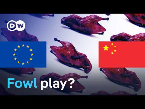 EU targets Peking Duck in dumping probe | DW News