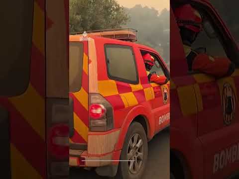 Firefighters battle wildfires in Spain's eastern Castellon province | AJ #shorts