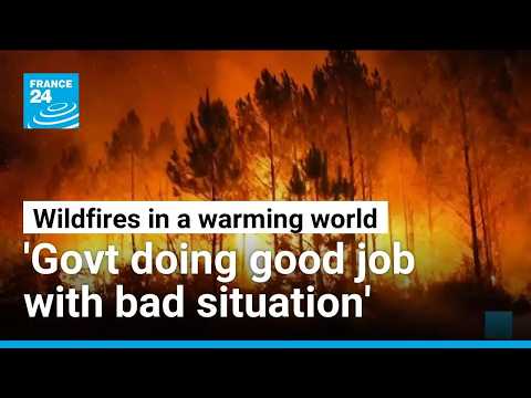 France's unprecedented wildfires: Convergence of climate change and historical landscape engineering