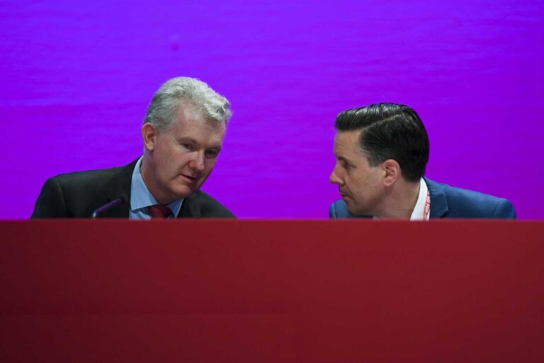 Grattan on Friday: A reluctant Albanese is under pressure over telehealth for VAD