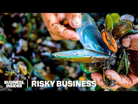 How Families Risk Their Lives Harvesting Toxic Green Mussels In Indonesia