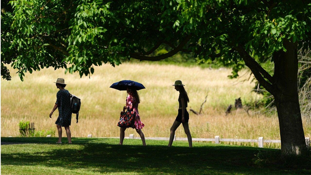 Three people walk in the shade of a tree in a park. Two are wearing hats and one is holding an umbrella to protect them from the Sun