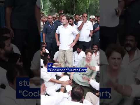 Opposition leader Gandhi detained after calling for Indian PM's resignation | DW News