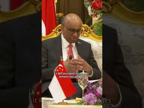 President Tharman's first state visit to Malaysia:'We carry the load together'