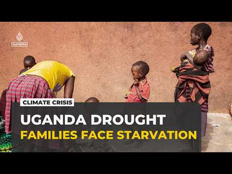 Uganda's worst drought in decades pushes vulnerable communities to the brink