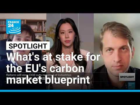 What's at stake for the EU's carbon market blueprint • FRANCE 24 English