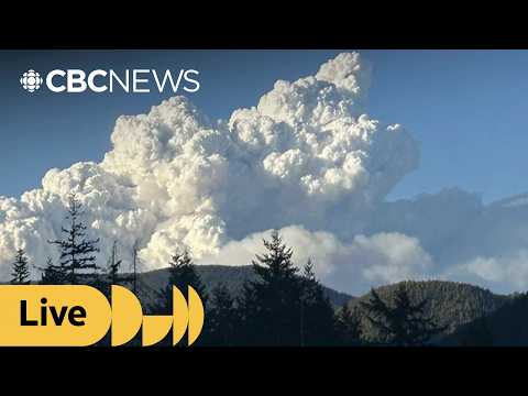 B.C. officials give update on wildfire situation